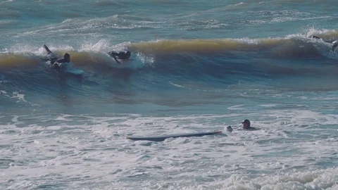 Surfers surfing in ocean Stock Footage 98700353