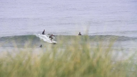 Surfers surfing on waves in slow motion Video stock 71564533