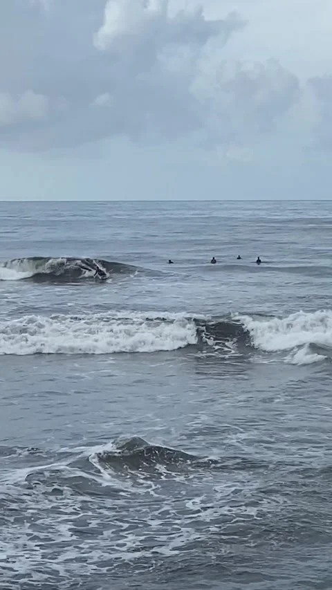 Surfers in Tahiti Видео 344546327