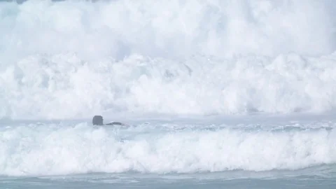 Surfers trying to catch waves Stock Footage 69973898