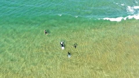 Surfers trying to catch waves Stock Footage 99765671