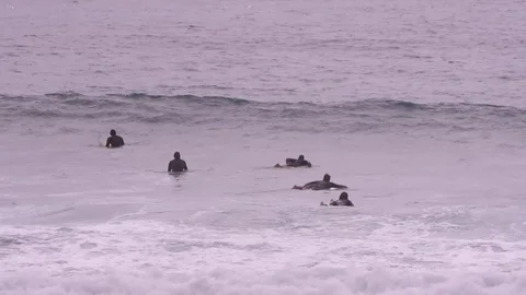 Surfers wait for waves along the coast of Sydney, Australia Stock Footage 76002437