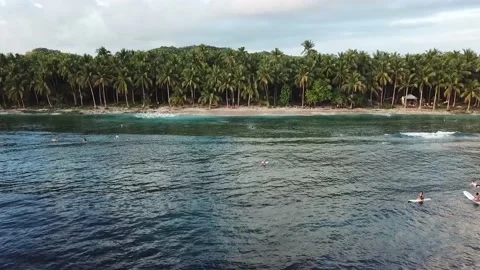Surfers Wait for Waves at Coconut Tree White Sand Beach with Mountains Stock Footage 137778074