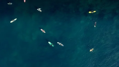 Surfers wait waves in Indian Ocean on Bali, Indonesia. Vidéo 87105129