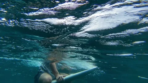 Surfers wait waves in the ocean Stock Footage 311004050