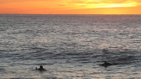 Surfers wait for waves before the sun rises Stock Footage 90927512