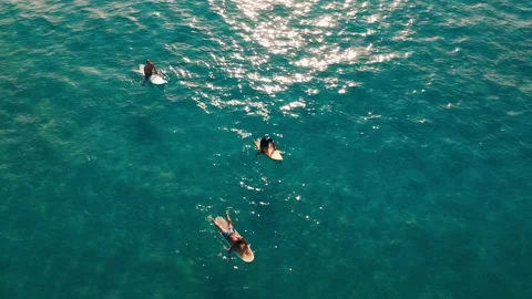 Surfers wait for waves at sunrise Stock Footage 166388366
