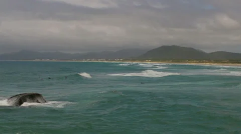 Surfers waiting for a wave Видео 33797515
