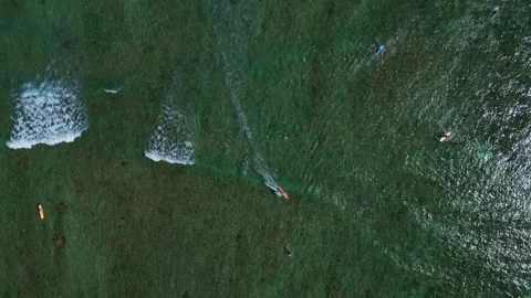 Surfers waiting for waves clear tropical ocean waters. Magic aerial view drone Stock Footage 344603120