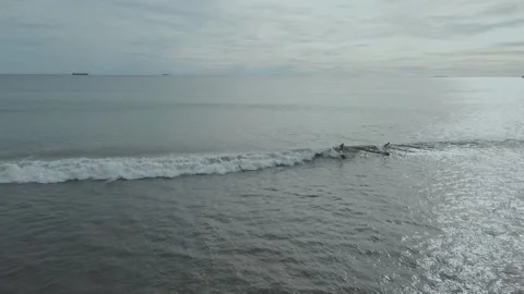Surfers waiting for the waves to come Stock Footage 197398547