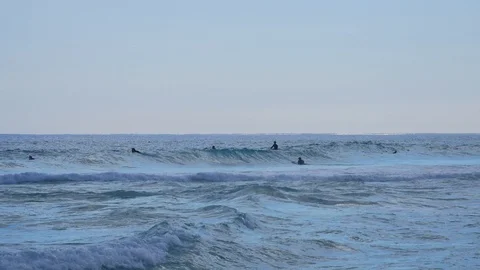 Surfers waiting for waves in the ocean Stock Footage 113874007