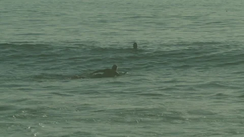 Surfers waiting for waves on the surface of the water Stock Footage 273788169
