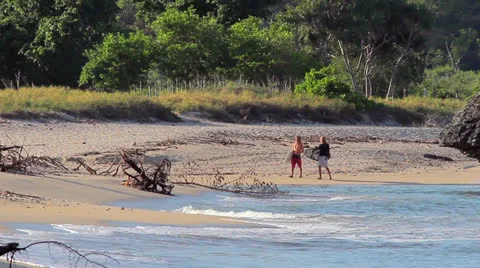 Surfers walking at the beach Stock Footage 26322674