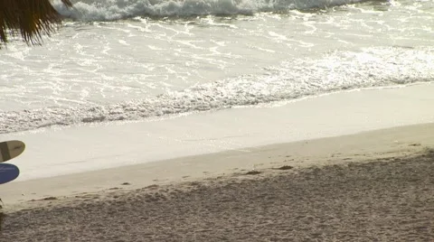 Surfers walking on beach Stock Footage 54593324