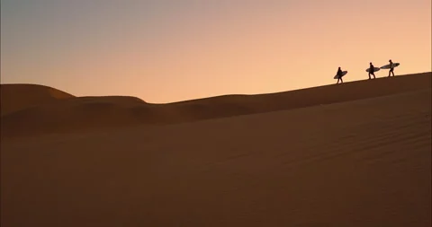 Surfers Walking on Beach Video stock 262122499