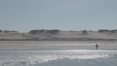 Surfers walking with boards facing dune Video stock 345225720