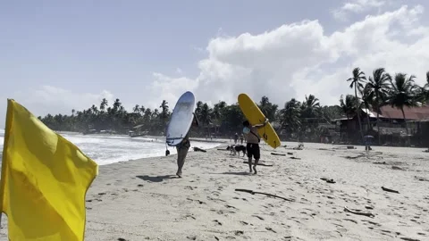 Surfers walking by Vidéo 254640461
