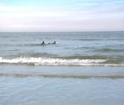 Surfers in Water 1 Video stock 21896980