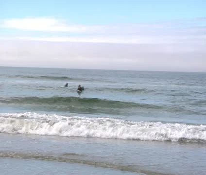 Surfers in water 3 Video stock 21887185