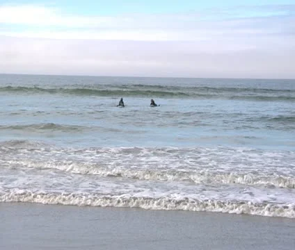 Surfers in water 4 Video stock 21885079
