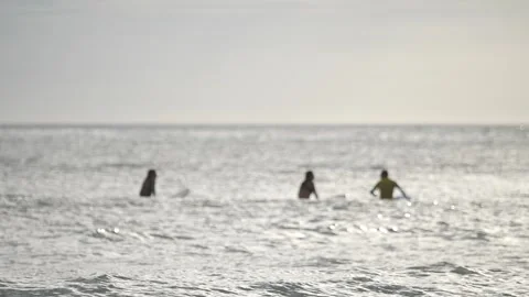 Surfers in the water for background Stock Footage 259718307