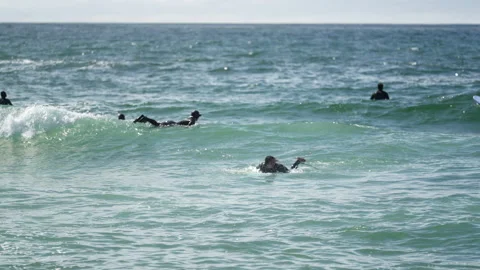Surfers in the water Video stock 236516865