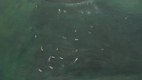 Surfers in the water 動画素材 246408571