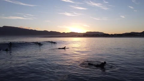 Surfers in water at sunset Stock Footage 153970160