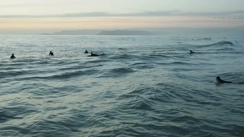 Surfers in the water wait for the right wave in the evening after sunset Stock Footage 97705486