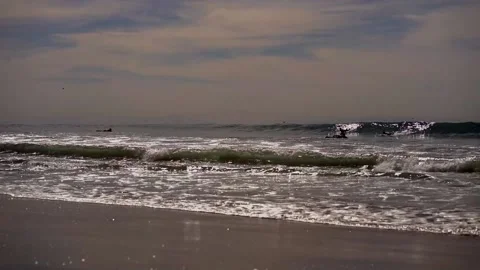 Surfers in the waves Stock Footage 234067202