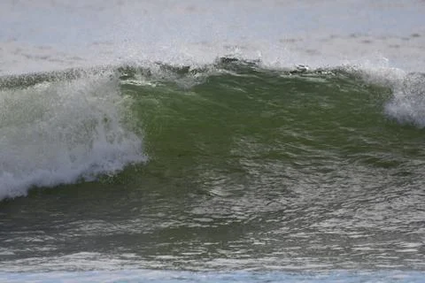 Surfi at First Beach Stock Photos