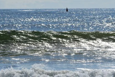 Surfi at First Beach Stock Photos