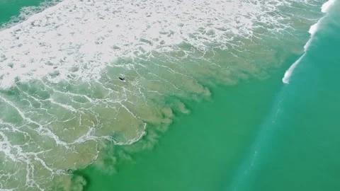 Surfin' In Florida Stock Footage 220766906