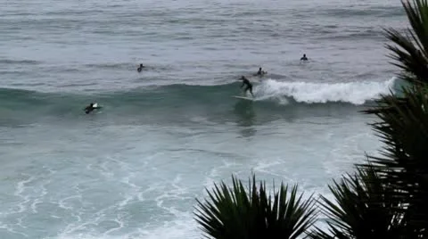 Surfing 1 Stock Footage 8920869