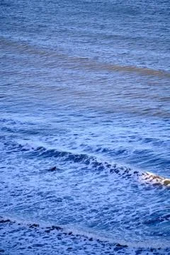 Surfing and swimming in the waves of the ocean Stock Photos