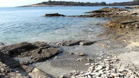 Surfing on the beach Stock Footage 21024547