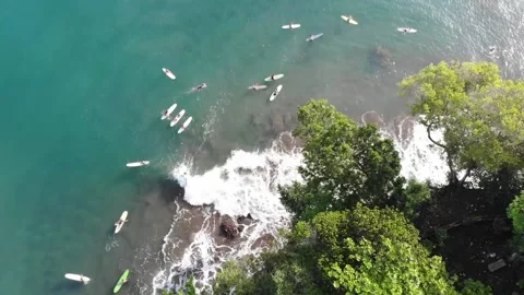Surfing on the beach Stock Footage 158485439