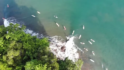 Surfing on the beach Stock Footage 158485625