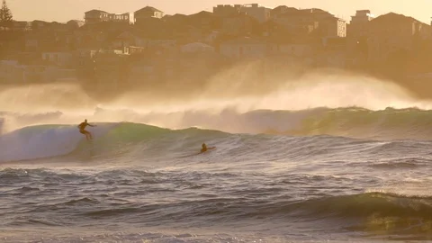 Surfing at Bondi beach at sunset Stock Footage 119752913