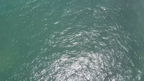 Surfing California Stock Footage 167399103