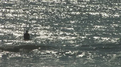 Surfing on Cape Cod Vidéo 8521146