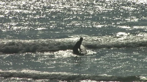 Surfing on Cape Cod Stockbeeldmateriaal 8521147