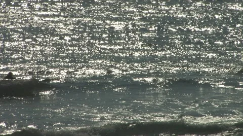 Surfing on Cape Cod Stockbeeldmateriaal 8521149