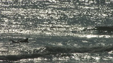 Surfing on Cape Cod Vídeo Stock 8521150