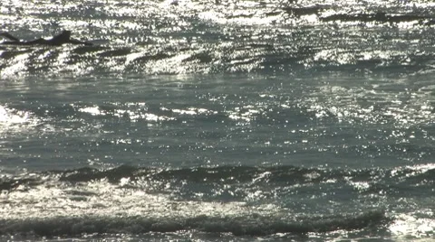 Surfing on Cape Cod 스톡 동영상 8521152