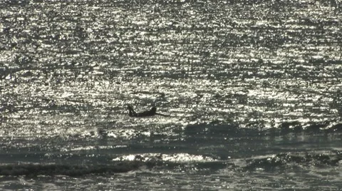 Surfing on Cape Cod Stock-Footage 8521153