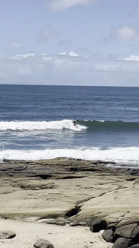 Surfing at Dicky Beach Stock Footage 295089186