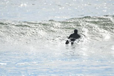 Surfing at First Beach Stock Photos