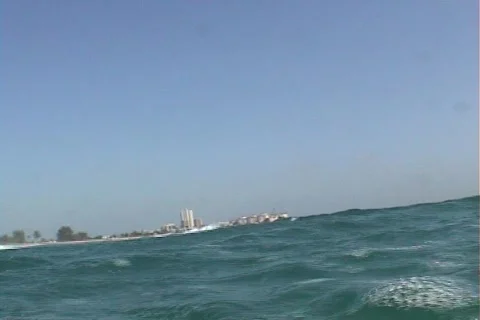 Surfing Video stock 311749