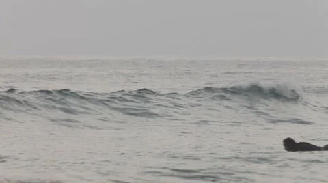 Surfing Stock Footage